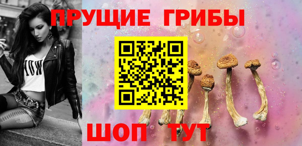 купить наркотики сайты  Вход с VPN  Удомля  Галлюциногенные грибы GOLDEN TEACHER 